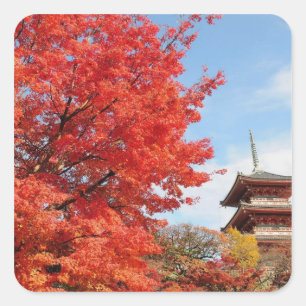Japan, Kyoto. Kiyomizu temple in Autumn colour Square Sticker