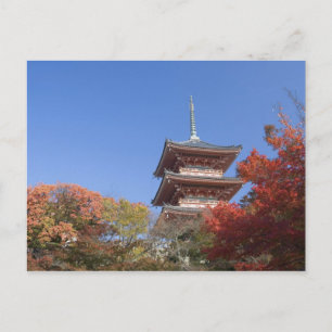 Japan, Kyoto, Pagoda in Autumn color Postcard