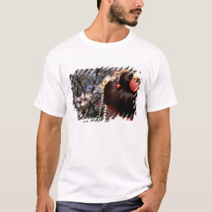 Japan, Kyoto. Rear view close-up of geisha's T-Shirt