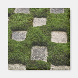 Japan, Kyoto, Tofukuji Temple, Garden Magnet