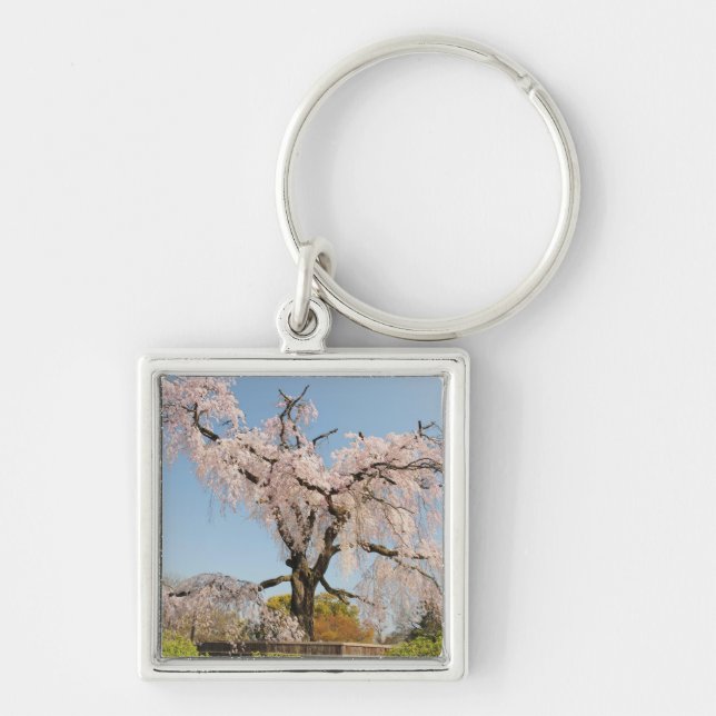 Japan, Kyoto. Weeping cherry tree under blue sky Key Ring (Front)