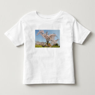 Japan, Kyoto. Weeping cherry tree under blue sky Toddler T-Shirt