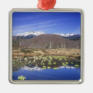 Japan, Nagano, Norikura, Mt. Norikura & Metal Tree Decoration
