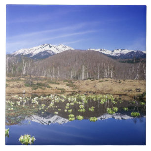 Japan, Nagano, Norikura, Mt. Norikura & Tile