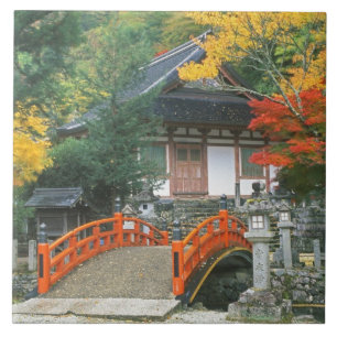 Japan, Nara, Ryuzenji Temple Ceramic Tile