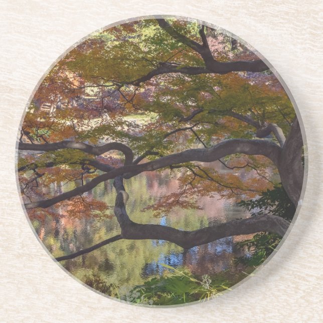 japan park coaster (Front)