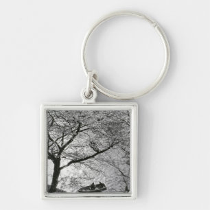 Japan, Tokyo. Cherry blossoms in the Imperial Key Ring