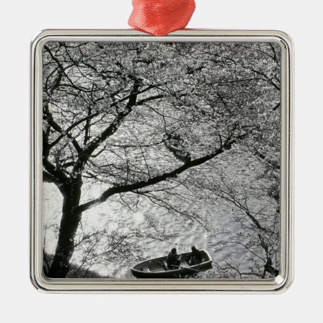 Japan, Tokyo. Cherry blossoms in the Imperial Metal Tree Decoration (Front)
