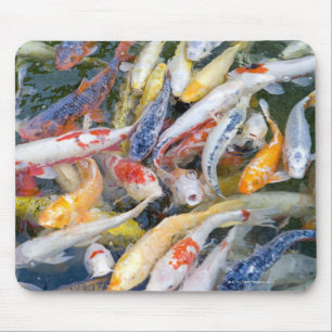 Japan, Tokyo, close-up swimming fish Mouse Pad