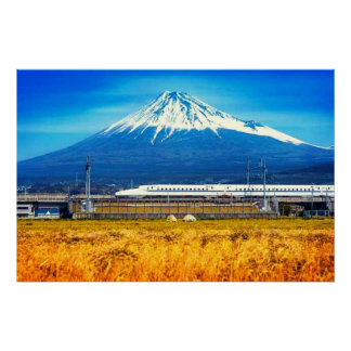 Japan Uses Sole Beauties Posters