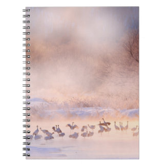 Japan winter nature. Wildlife scene, snowy nature. Notebook