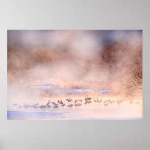 Japan winter nature. Wildlife scene, snowy nature. Poster