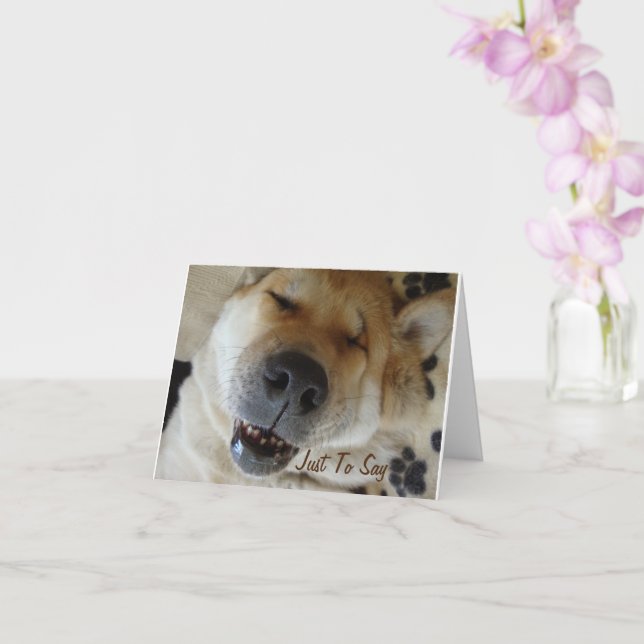 japanese akita dog with cute smile thinking of you card (Orchid)
