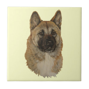 Japanese/American akita dog portrait art tile