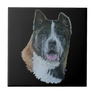Japanese/American akita dog portrait black tile