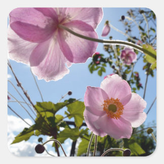 Japanese Anemone Square Sticker