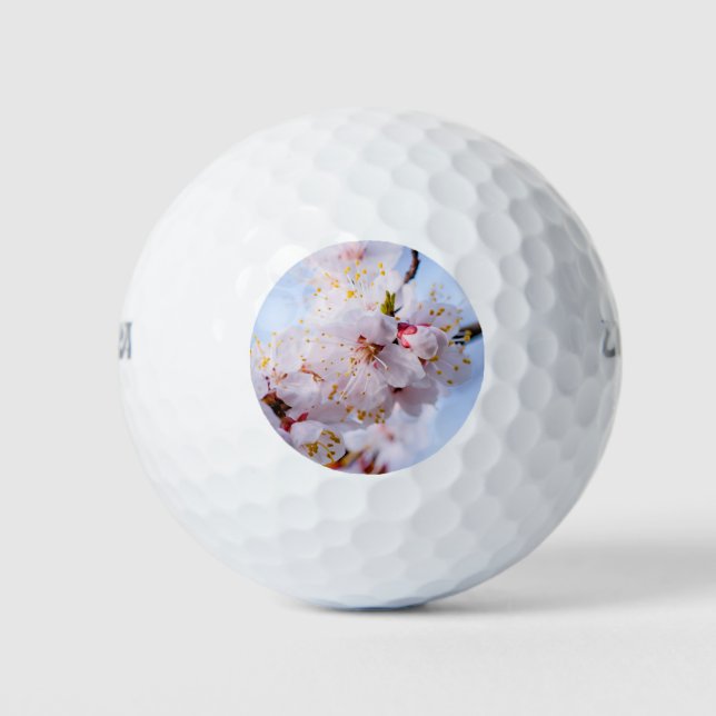 Japanese Apricot Blossom Golf Balls (Front)