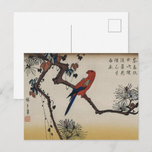 Japanese Art,Macaw on Pine Branch by Kunisada Postcard