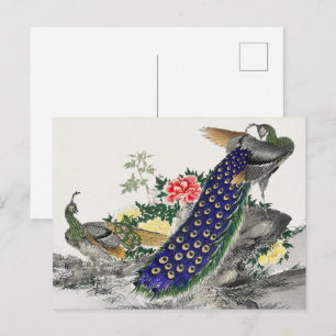 Japanese Art,Peacock and Peony by Numata Kashu Postcard