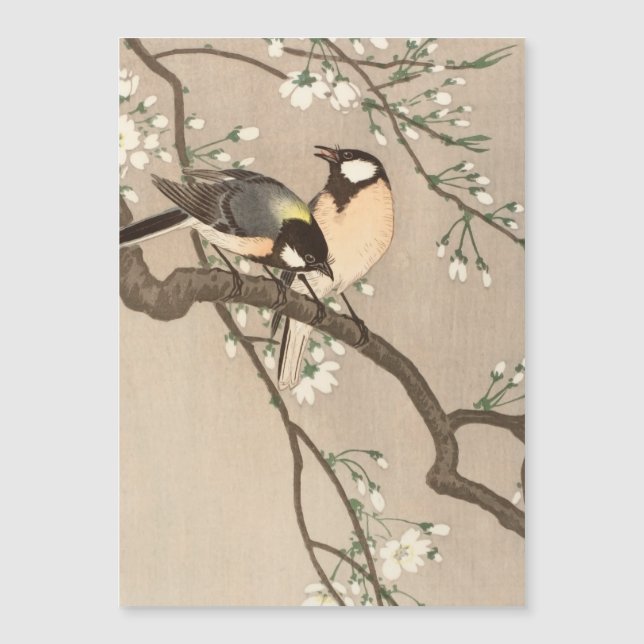 Japanese Asian Koson Bird Chickadee Songbird (Front)
