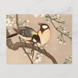 Japanese Asian Koson Bird Chickadee Songbird Postcard
