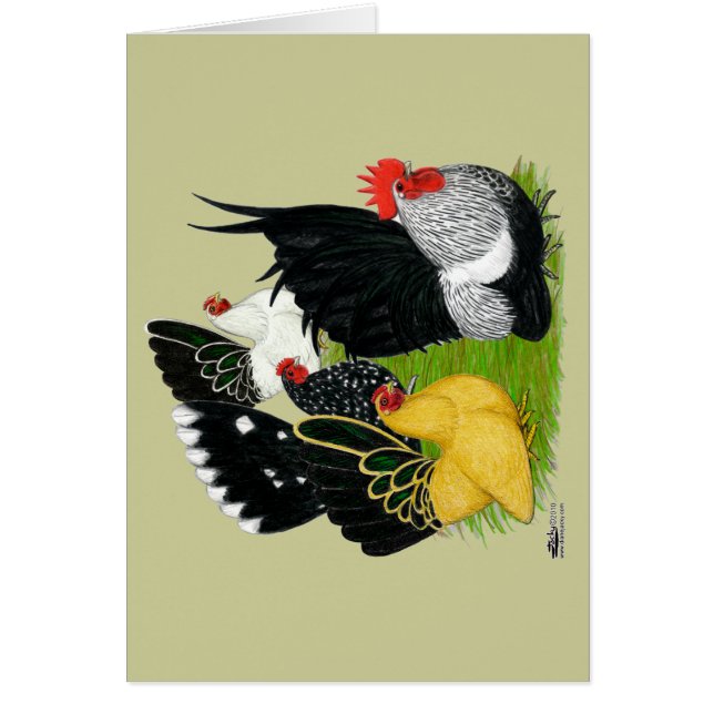 Japanese Bantam Quartet (Front)