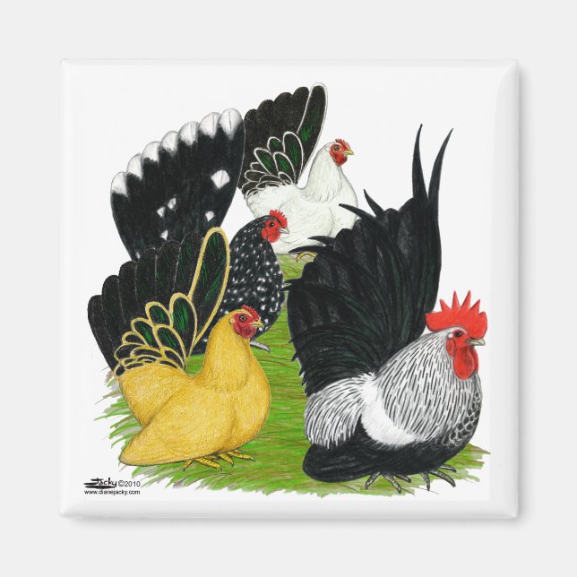 Japanese Bantam Quartet Magnet (Front)