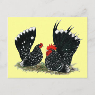 Japanese Bantams Mottled Postcard