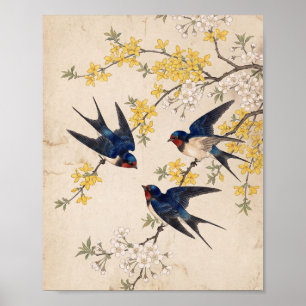 Japanese Barn Swallows & Yellow Spring Blos Poster