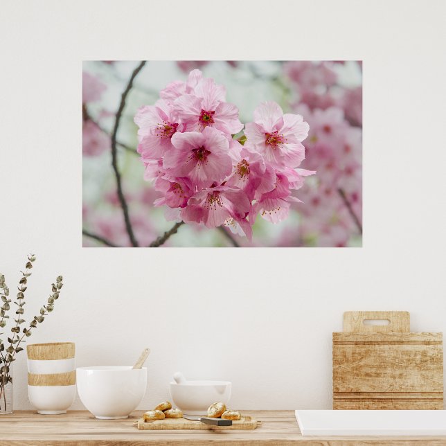 Japanese Beauty, Floral Pink Cherry Blossoms Poster (Kitchen)