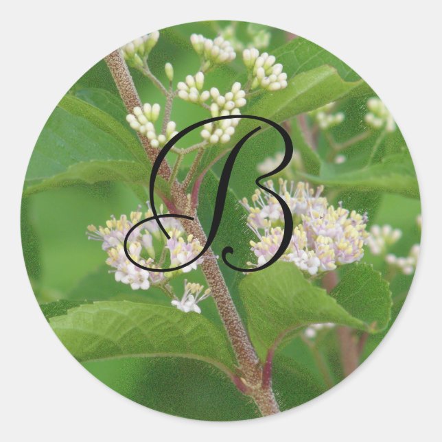Japanese Beautyberry in Bloom Classic Round Sticker (Front)