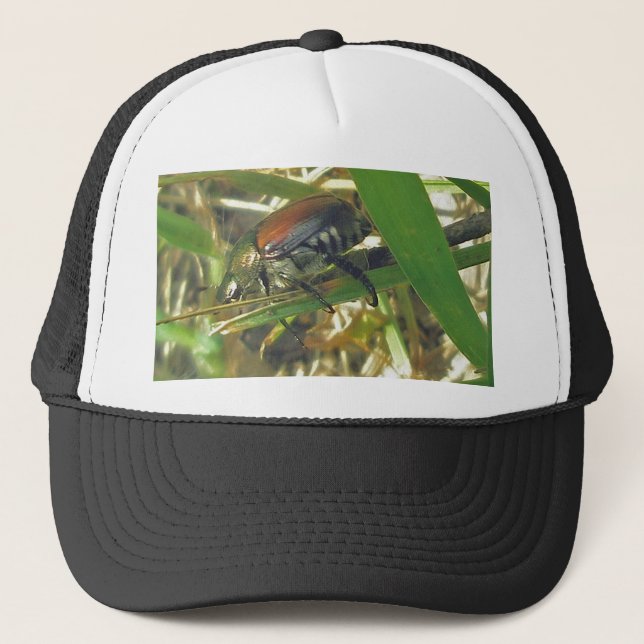 Japanese Beetle Hat (Front)