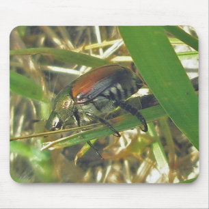Japanese Beetle Mousepad