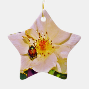 Japanese Beetle on White  Rose Ceramic Ornament
