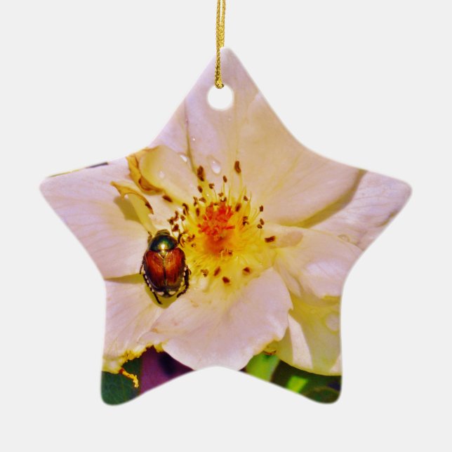 Japanese Beetle on White  Rose Ceramic Ornament (Front)