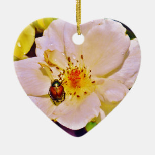 Japanese Beetle on White  Rose Ceramic Tree Decoration
