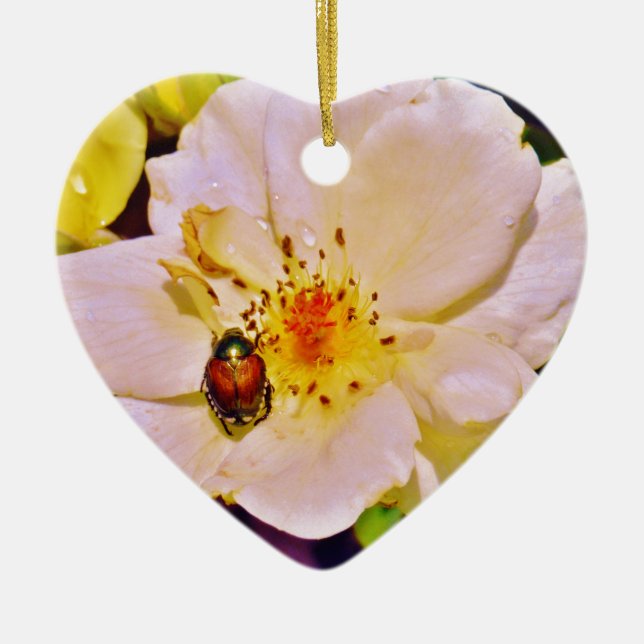 Japanese Beetle on White  Rose Ceramic Tree Decoration (Front)