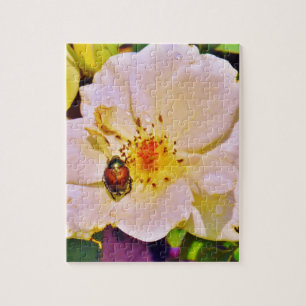 Japanese Beetle on White  Rose Jigsaw Puzzle