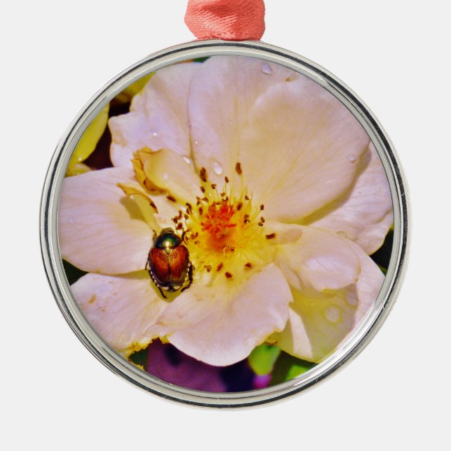 Japanese Beetle on White  Rose Metal Tree Decoration (Front)