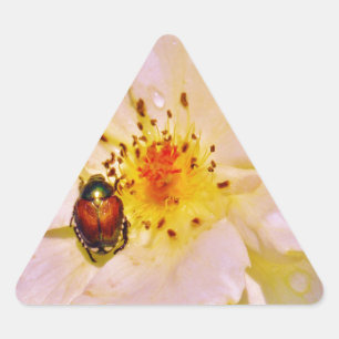 Japanese Beetle on White  Rose Triangle Sticker
