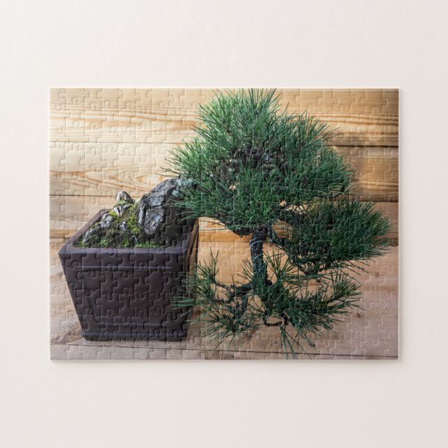 Japanese Black Pine Bonsai Tree Photo Jigsaw Puzzle (Horizontal)