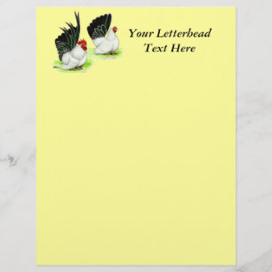 Japanese Black White Bantams