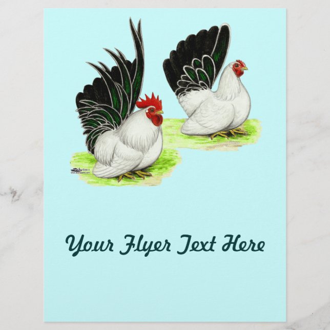 Japanese Black White Bantams Flyer (Front)