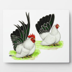 Japanese Black White Bantams Plaque