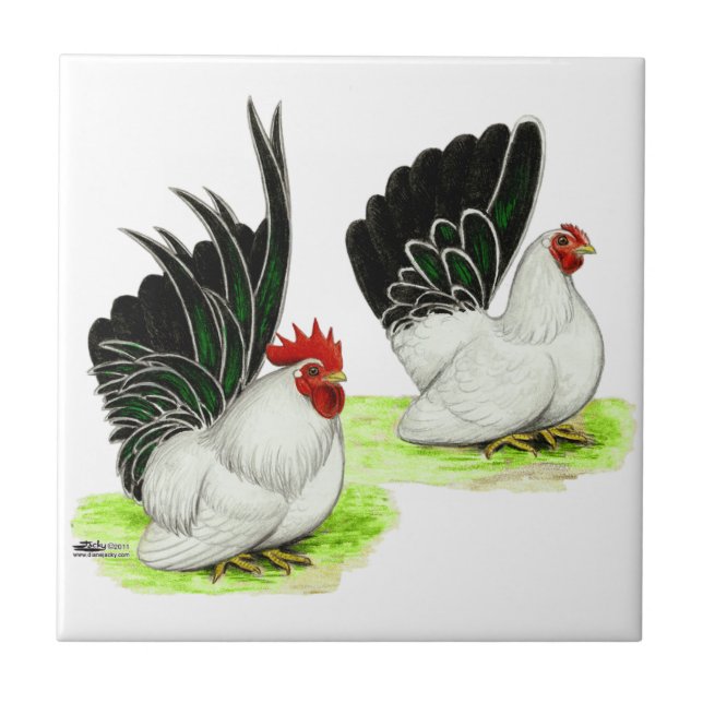 Japanese Black White Bantams Tile (Front)
