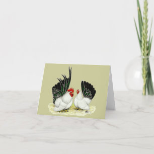 Japanese Blacktail Bantams Card