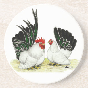 Japanese Blacktail Bantams Coaster