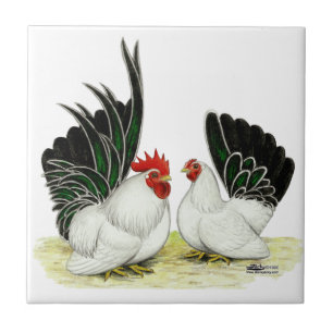 Japanese Blacktail Bantams Tile