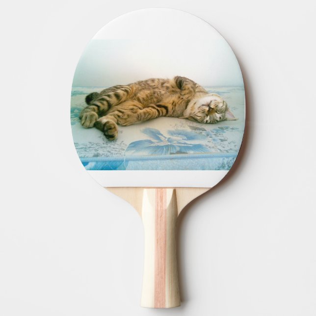japanese bobtail brown tabby ping pong paddle (Front)