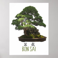 Japanese Bonsai Tree and Symbol